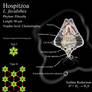 Hospitzoa