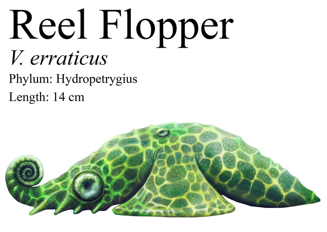 Reel Flopper by PesterJelly on DeviantArt