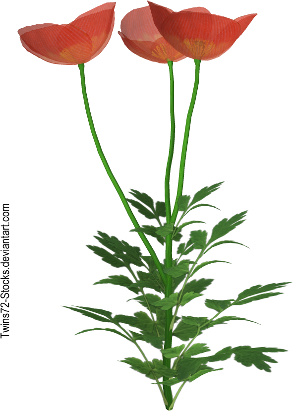 Flower 6 by Twins72-Stocks