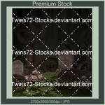 Mixed III-Twins72-Stocks-6 by Twins72-Stocks