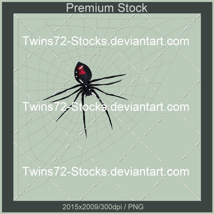 282-Twins72-Stocks