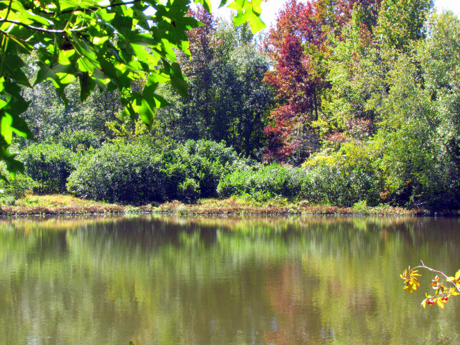 Colorful Reflections