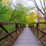 Autumn Bike Trail Bridge II