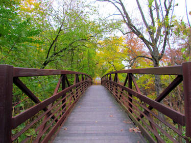 Autumn Bike Trail Bridge II