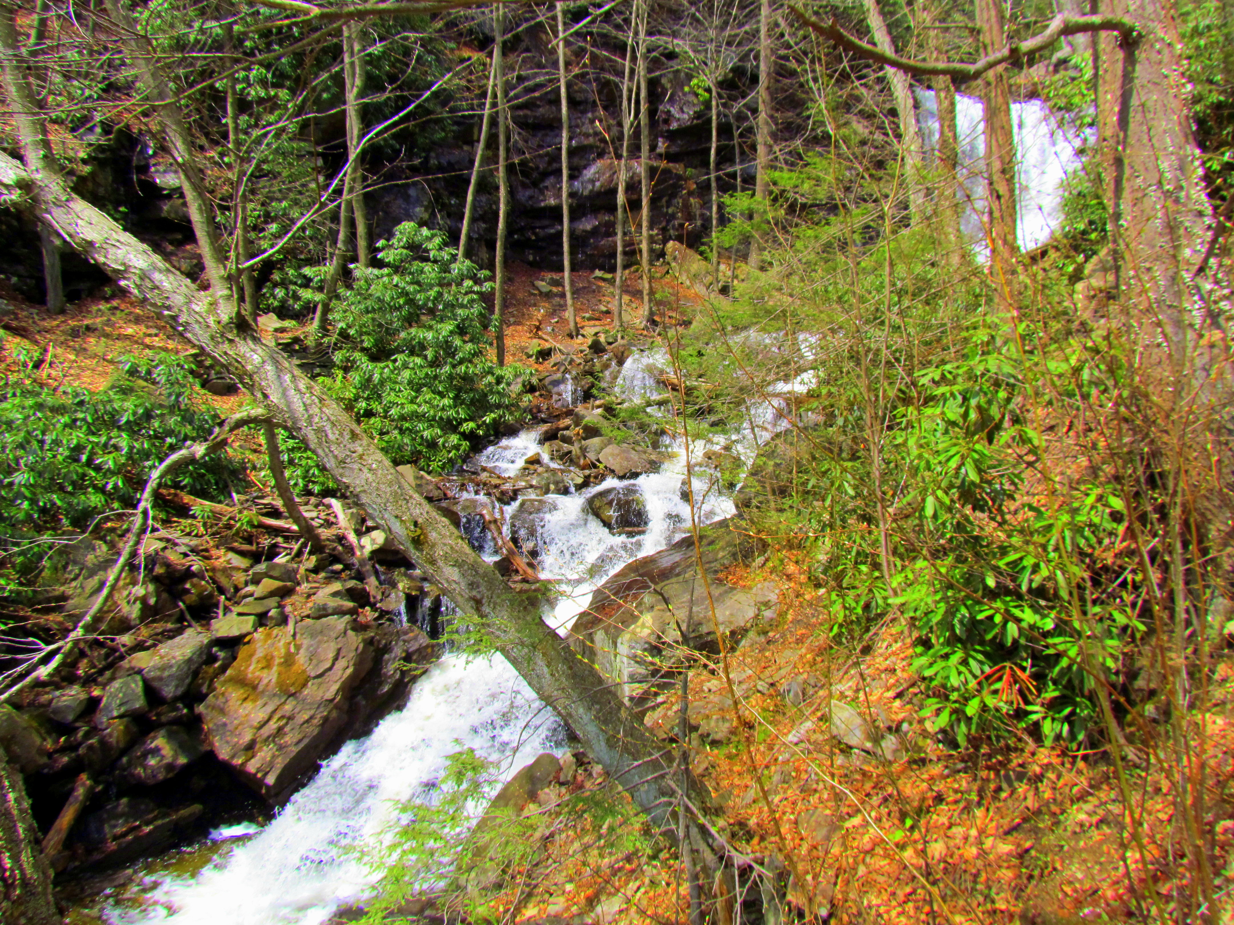 Glen Onoko Falls 3