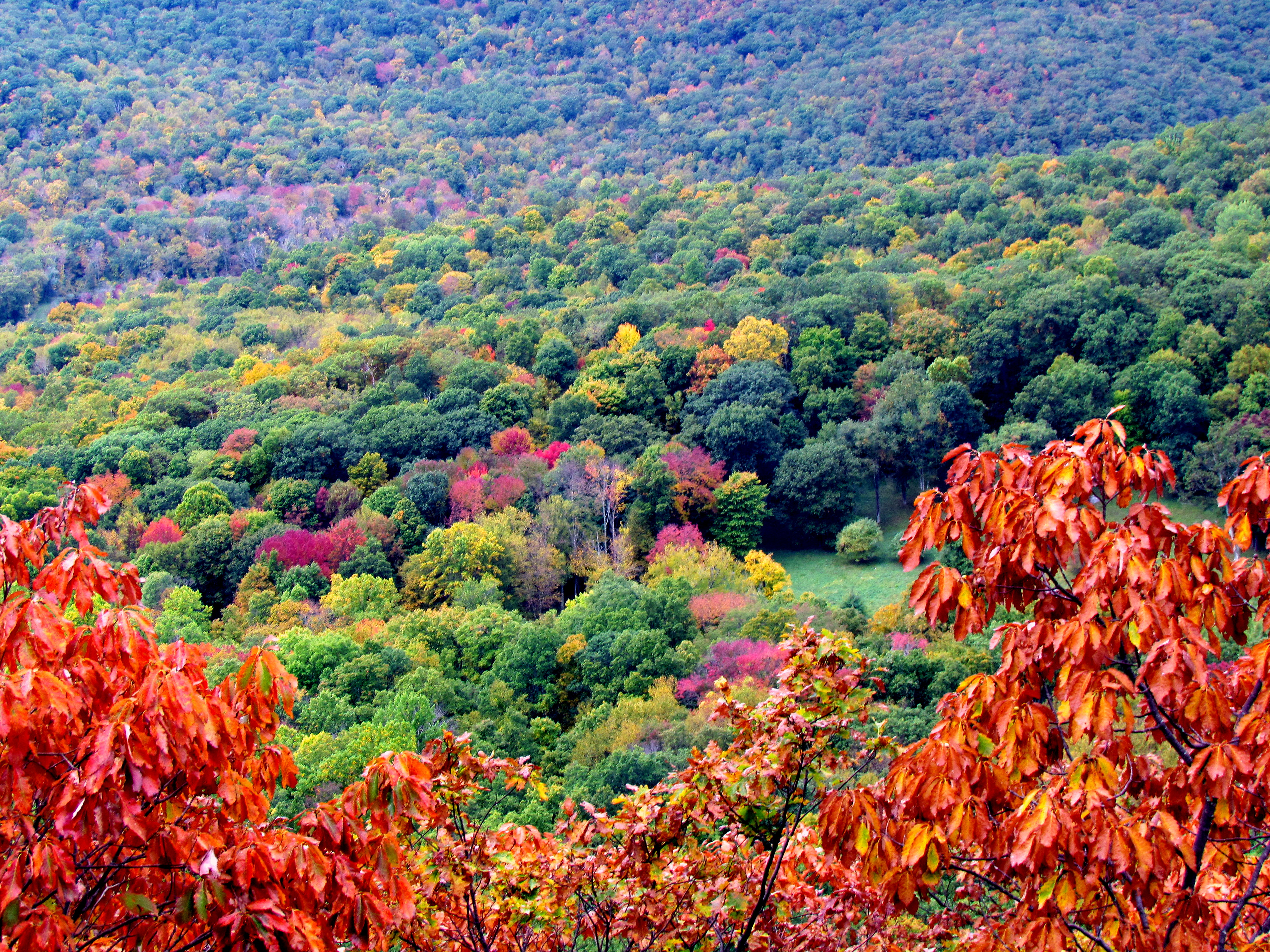 Autumn in Connecticut