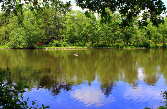 Hidden Lake