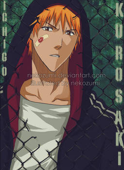 BLEACH - kurosaki ichigo