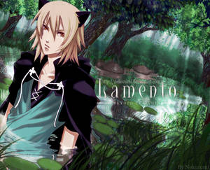 LAMENTO - foresuto