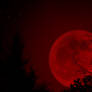 Red Moon rising