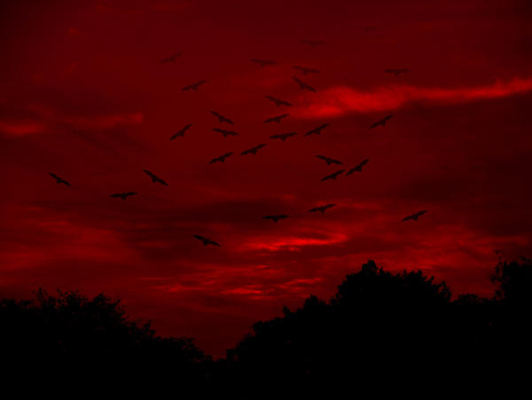 Sunfall Red Red Sundown by fallen0dream on DeviantArt