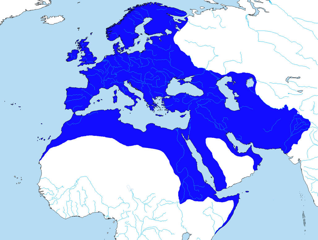 Владение рима. Римская Империя карта на пике могущества. Римская Империя владения. Римская Империя на пике могущества. Великая Римская Империя территория.