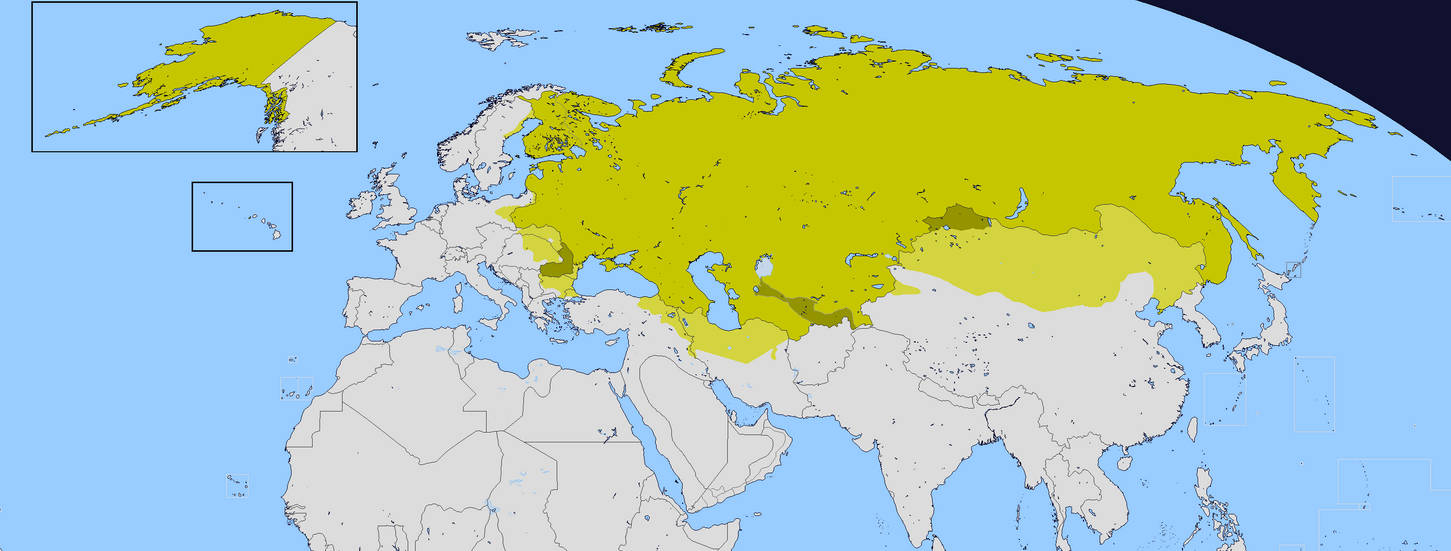 Российская империя размер территории. Территория Российской империи в 1866. Российская Империя максимальная территория карта. Russian Empire на карте. Российская Империя пик могущества карта.