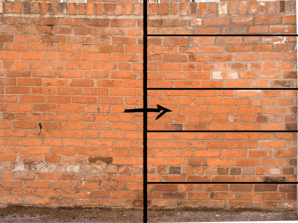 Rotation by IanisVasilev Rotation by IanisVasilev