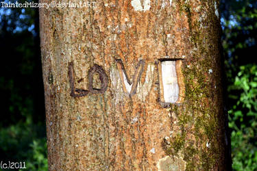 LOVE Tree