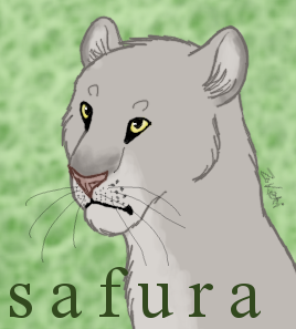 Safura Headshot