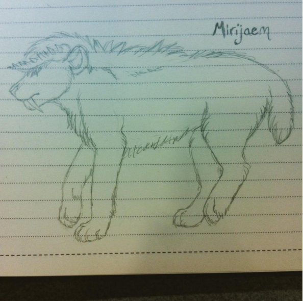 Mirijaem sketch