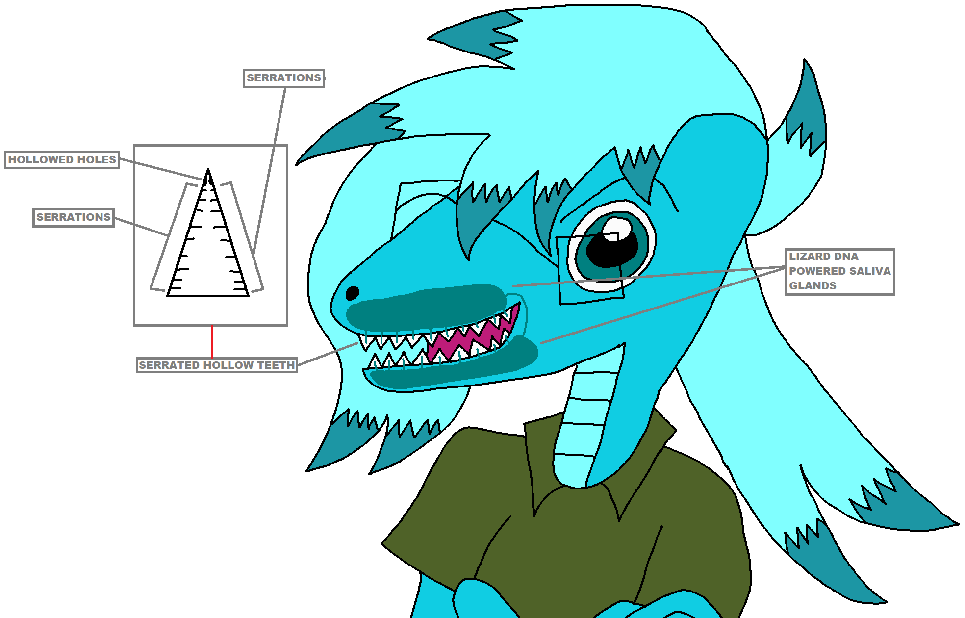 Lizard Form My Lizard Form Diagram by Hubfanlover678 on DeviantArt