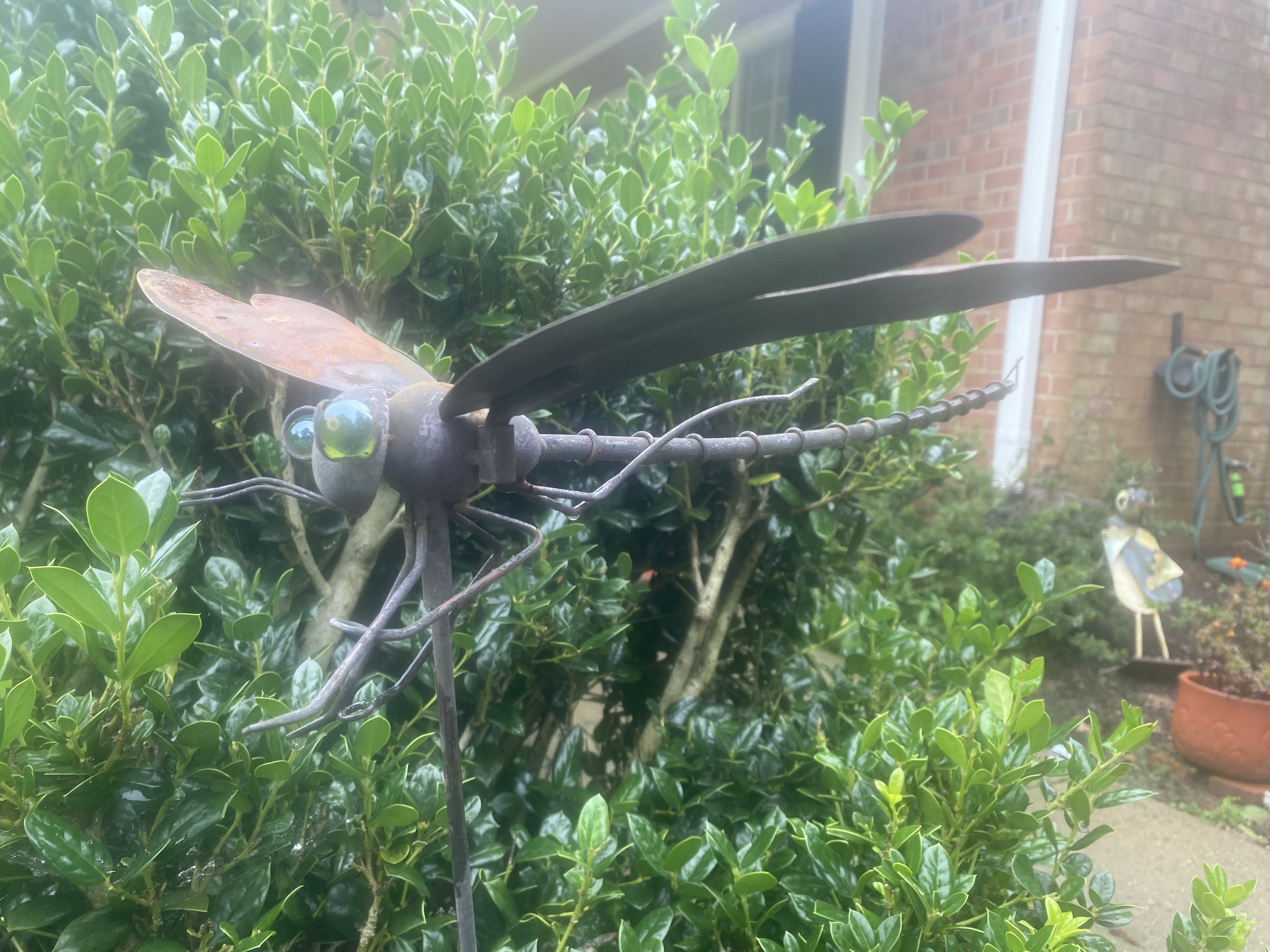Rick Riker Dragonfly Deviantart Dragonfly by Hubfanlover678 on DeviantArt