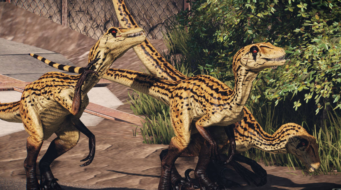 Novaraptor Render primal carnage extinction: WWD novaraptor skin by cetasauria on DeviantArt