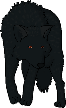 Black Wolf