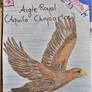 Swiss Nature Book: Golden Eagle - Aigle Royal