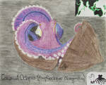 Coconut Octopus - Animal of October 2021 by MoonyMina