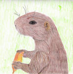 Of Marmots and Carrots - Pupa - September 2023 by MoonyMina