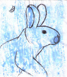 Rabbit - PPDT #9