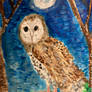 Owl of the night 