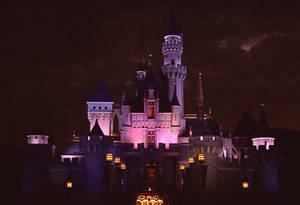 Sleeping Beauty Castle