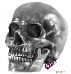 Exercise - Skull