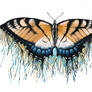 Drip-Dry Beauty