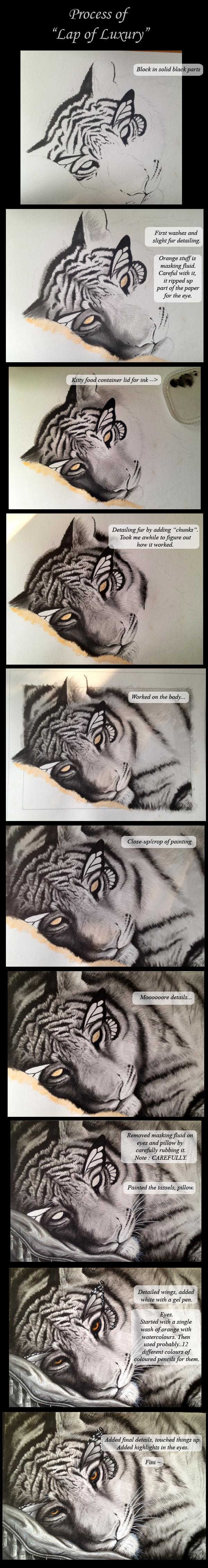 Lap of Luxury - Process