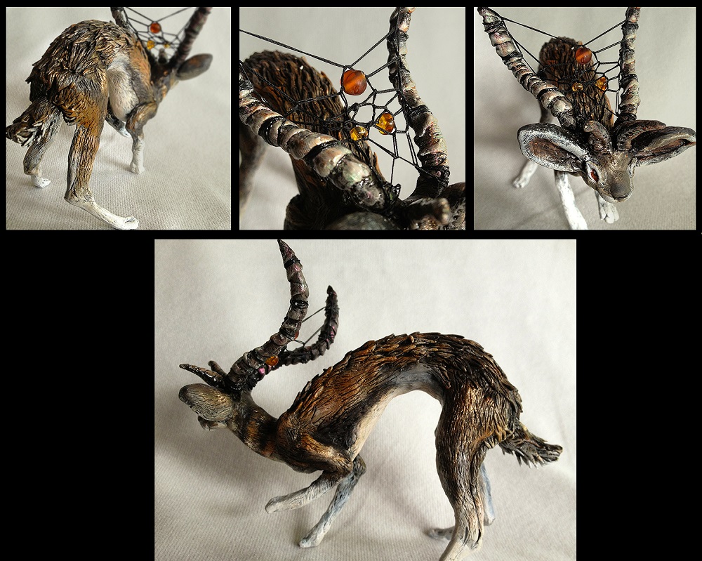 Jai - Alternate Views and Close-ups