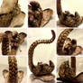 Littlest Pangolin - Alternate Views and Close-ups
