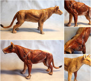 Lion Muscle Study Sculpture