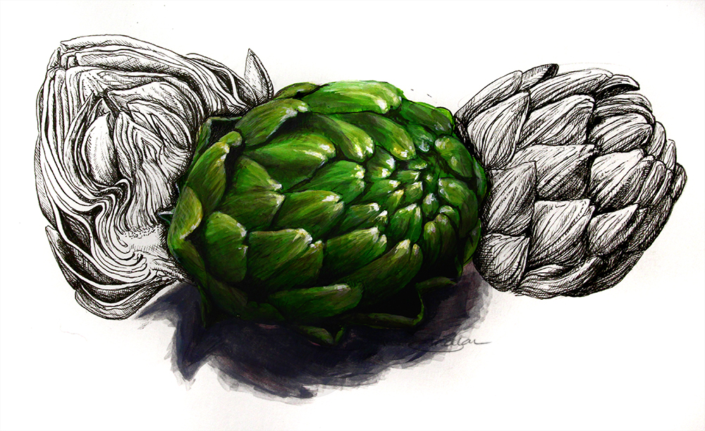 Artichoke Study