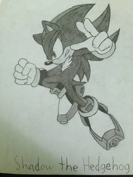 Shadow The Hedgehog