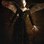 Nosferatu's Bride