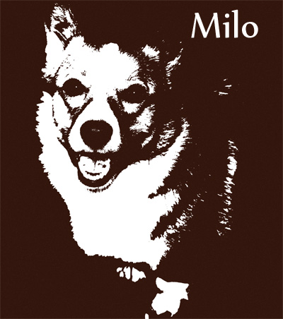 Retro Milo