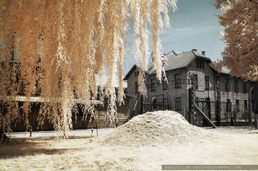 auschwitz in infrared - gate