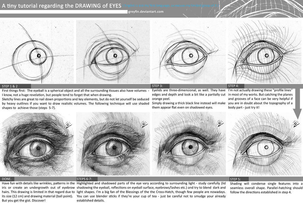 Drawing eyes - values and shading by greyfin on DeviantArt
