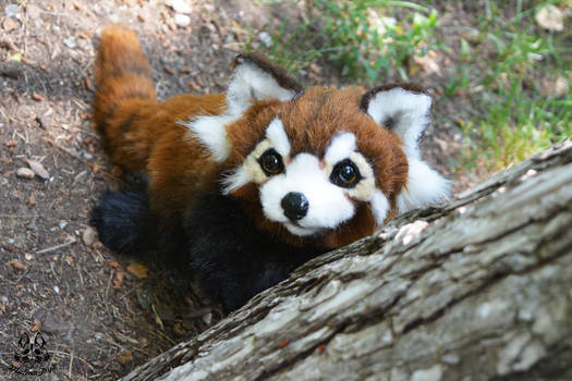 POseable toy commission: red panda