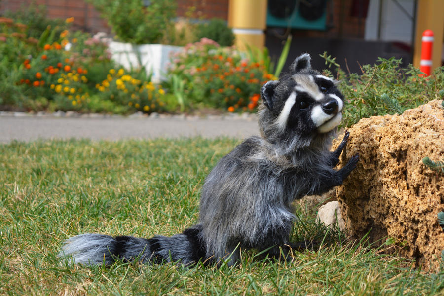 FOR SALE Handmade Poseable Raccoon by MalinaToys