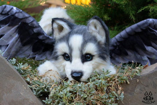 Poseable toy commission :Husky  puppy with wings