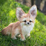 SOLD! Auction Handmade Poseable toy Fennec Fox