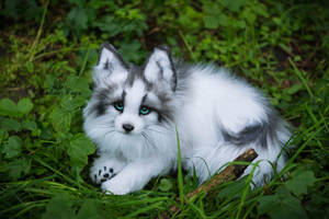 Sold! Handmade Poseable toy Arctic Marble Fox