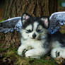 SOLD!100 % Handmade Poseable Husky with wings!