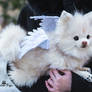 Poseable toy Commission white Pomeranian